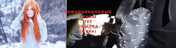 PSILOCYBIN Алзамай