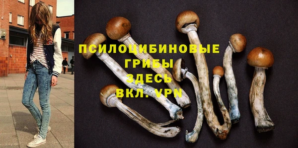 PSILOCYBIN Алзамай
