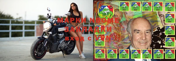 PSILOCYBIN Алзамай